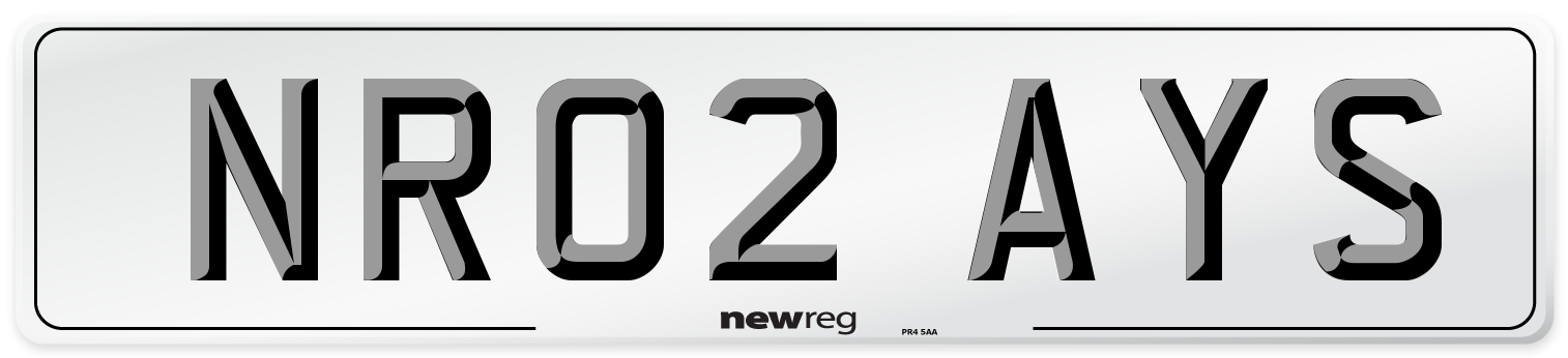 NR02 AYS Number Plate from New Reg